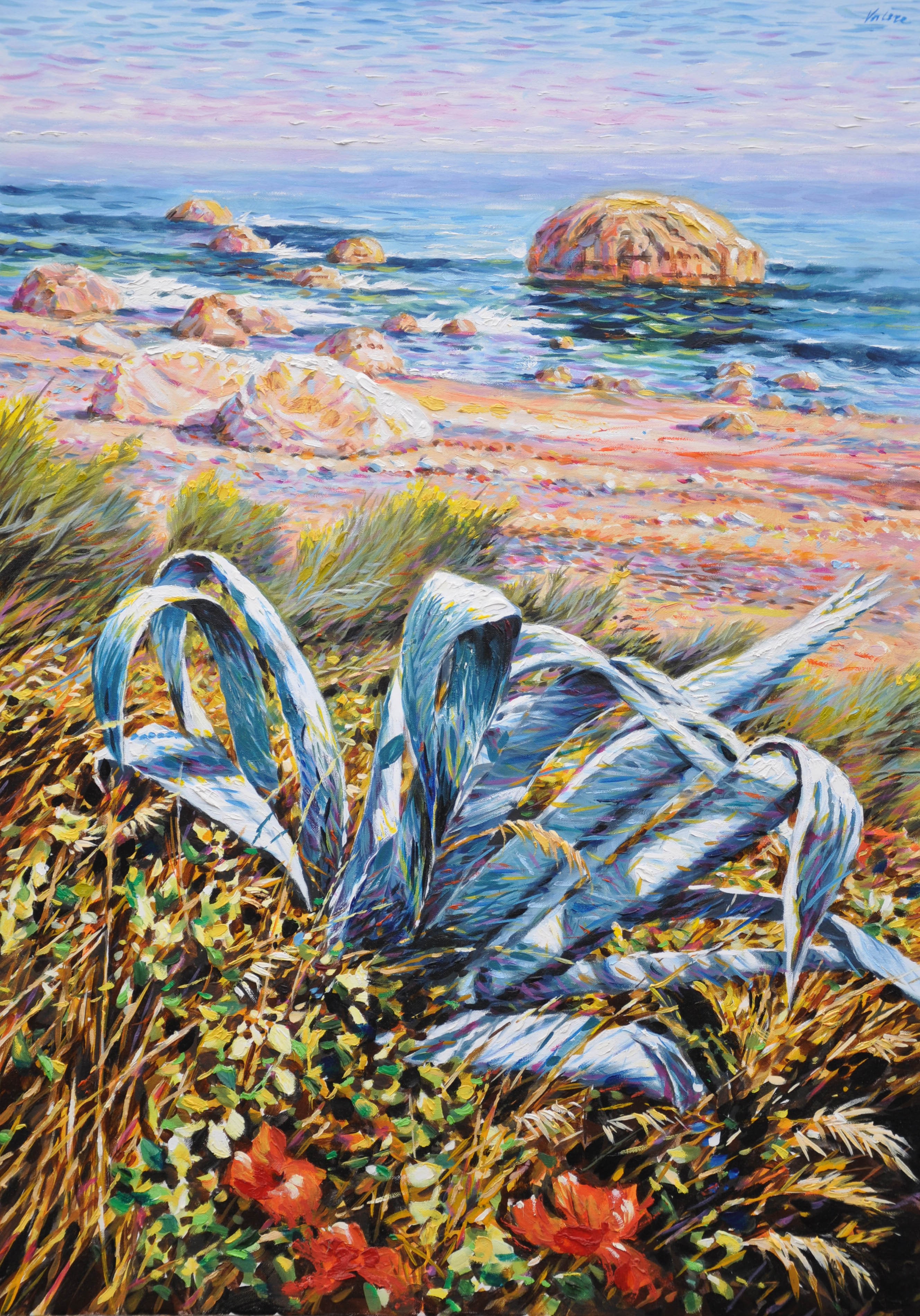 Agave a Palizzi