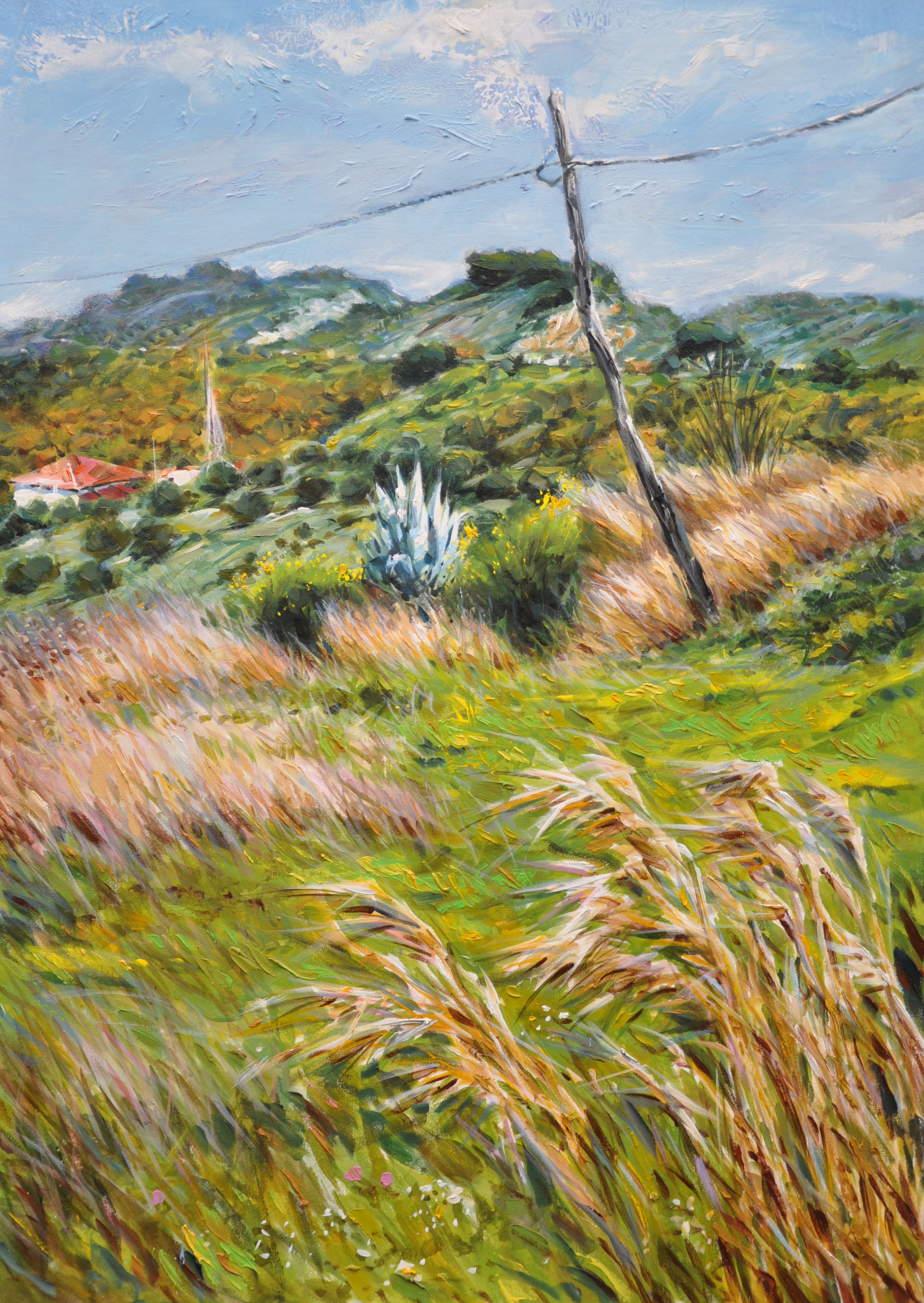 Paesaggio Mediterraneo