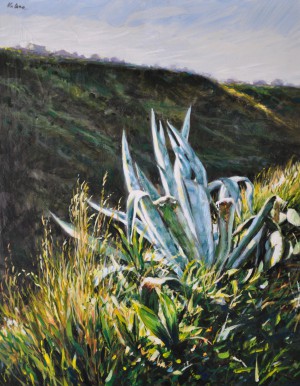 Agave ad Armo