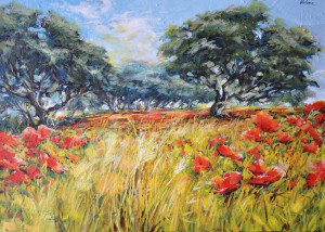 Campo Di Papaveri