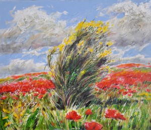 Ginestra e Papaveri
