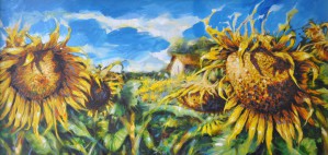 Girasoli a Stroncone