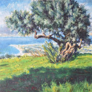 Ulivo Sullo Stretto